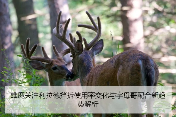 雄鹿关注利拉德挡拆使用率变化与字母哥配合新趋势解析